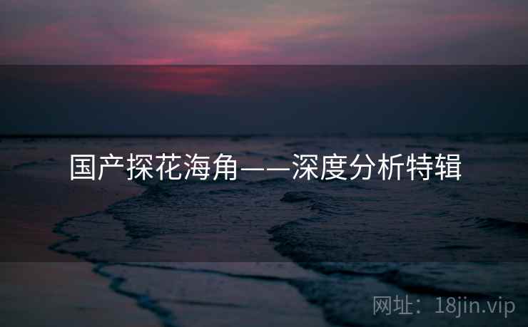 国产探花海角——深度分析特辑