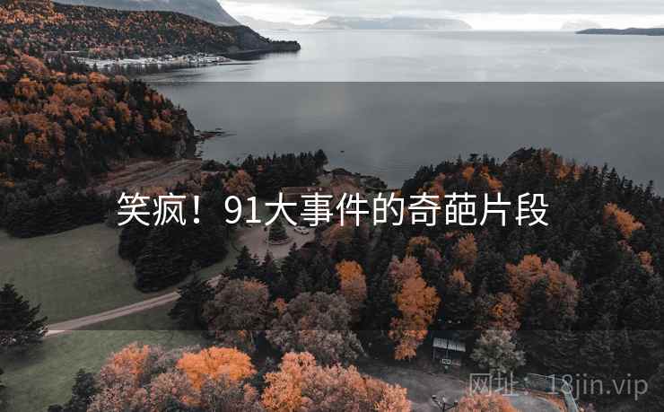 笑疯!91大事件的奇葩片段
